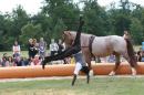 Esquisse Equestre 4 * 3504 x 2336 * (4.32MB)